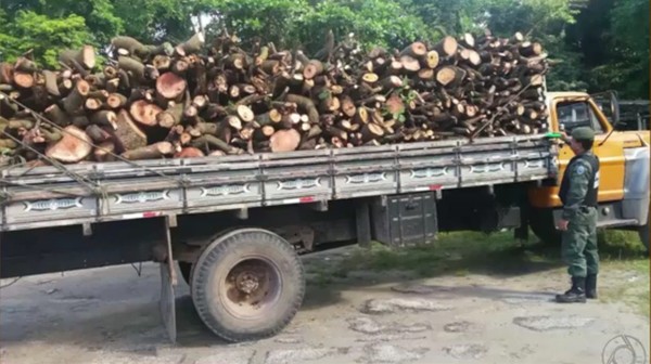 desmatamento_madeiras
