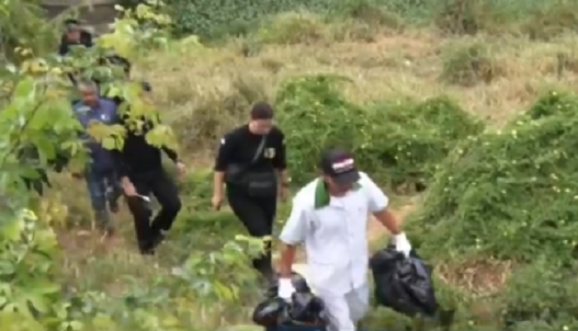 ossadas_debaixo_de_ponte