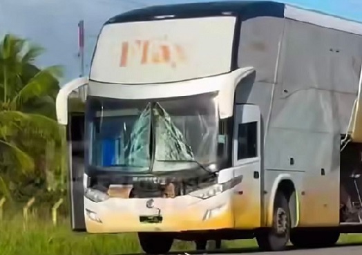 onibus_da_cantora_flay