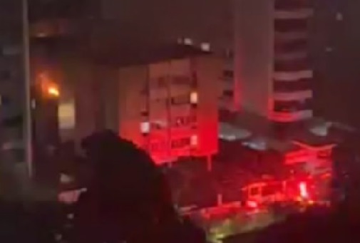 tio-sobrinha-cachorros_morrem_em_incendio