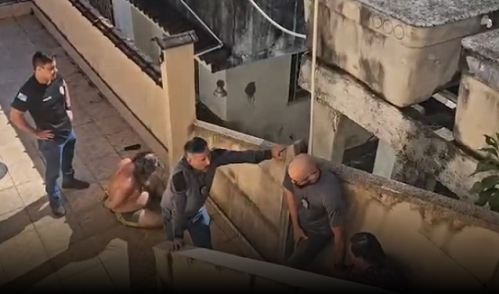 irmaos_presos_por_guardar_corpo_do_pai