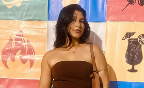 deputado_irapuan_pinheiro-feminicidio