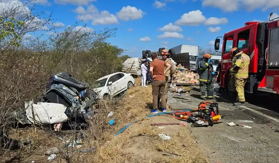 soledade-vitims_fatais_na_br-230